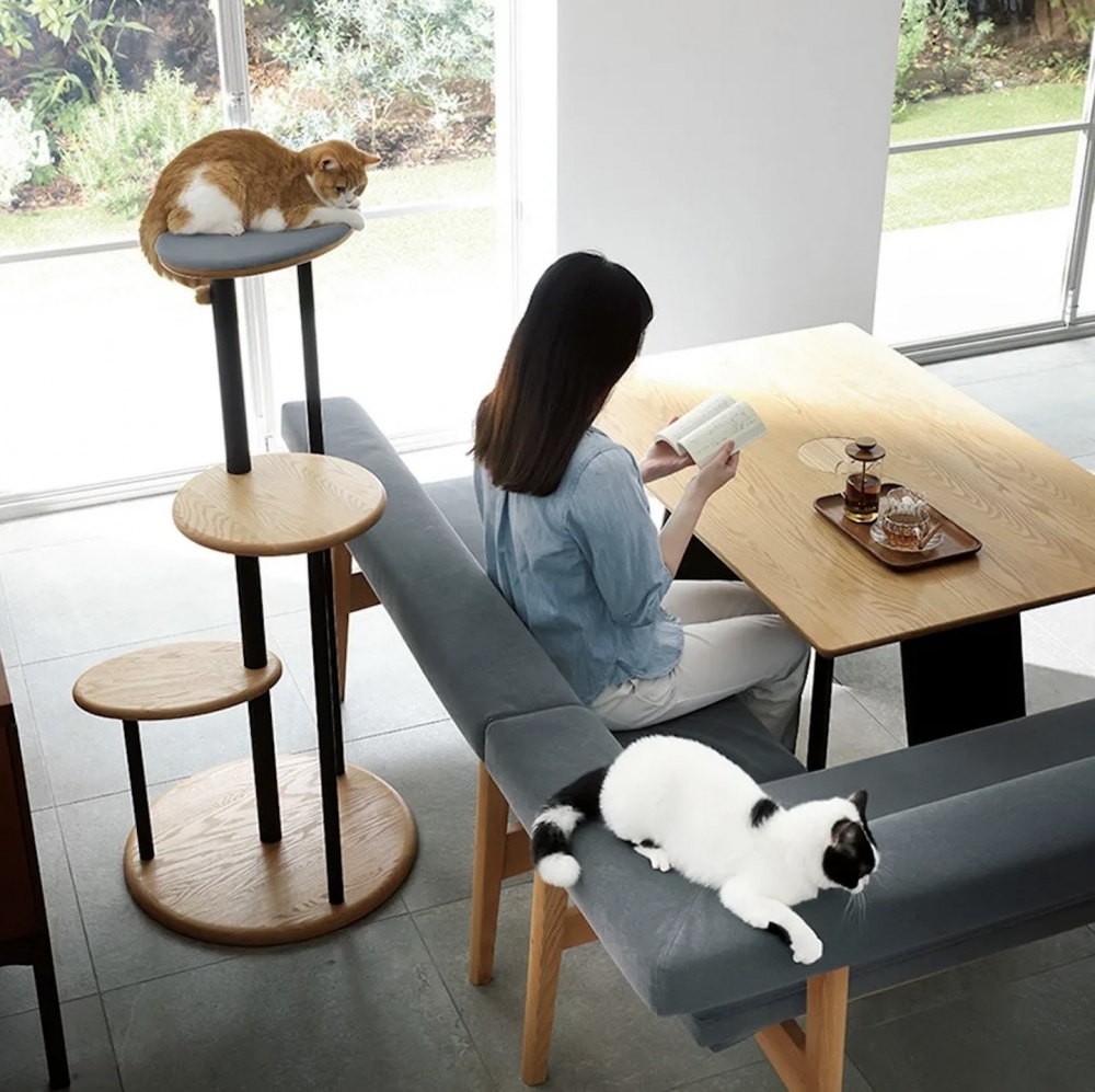 日本推特,人貓共桌,與貓同樂