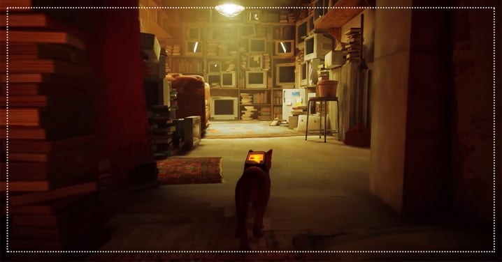當一隻貓是啥感覺？貓咪冒險遊戲《Stray》讓玩家以浪貓視角，探索城市以揭開謎團找回家人！