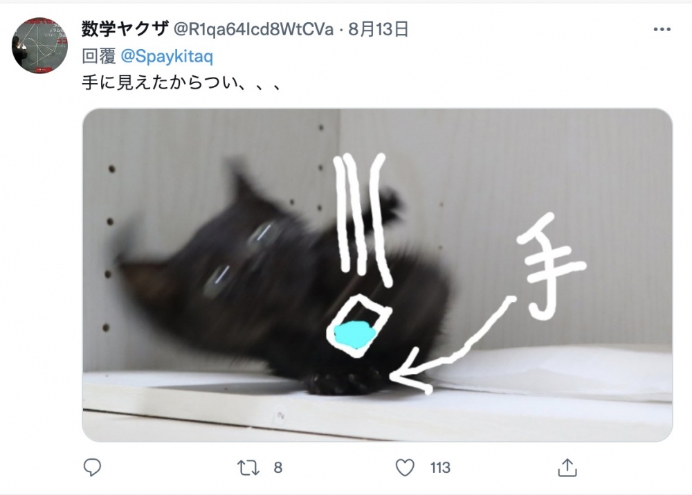 截圖 2021-08-16 下午5.04.52