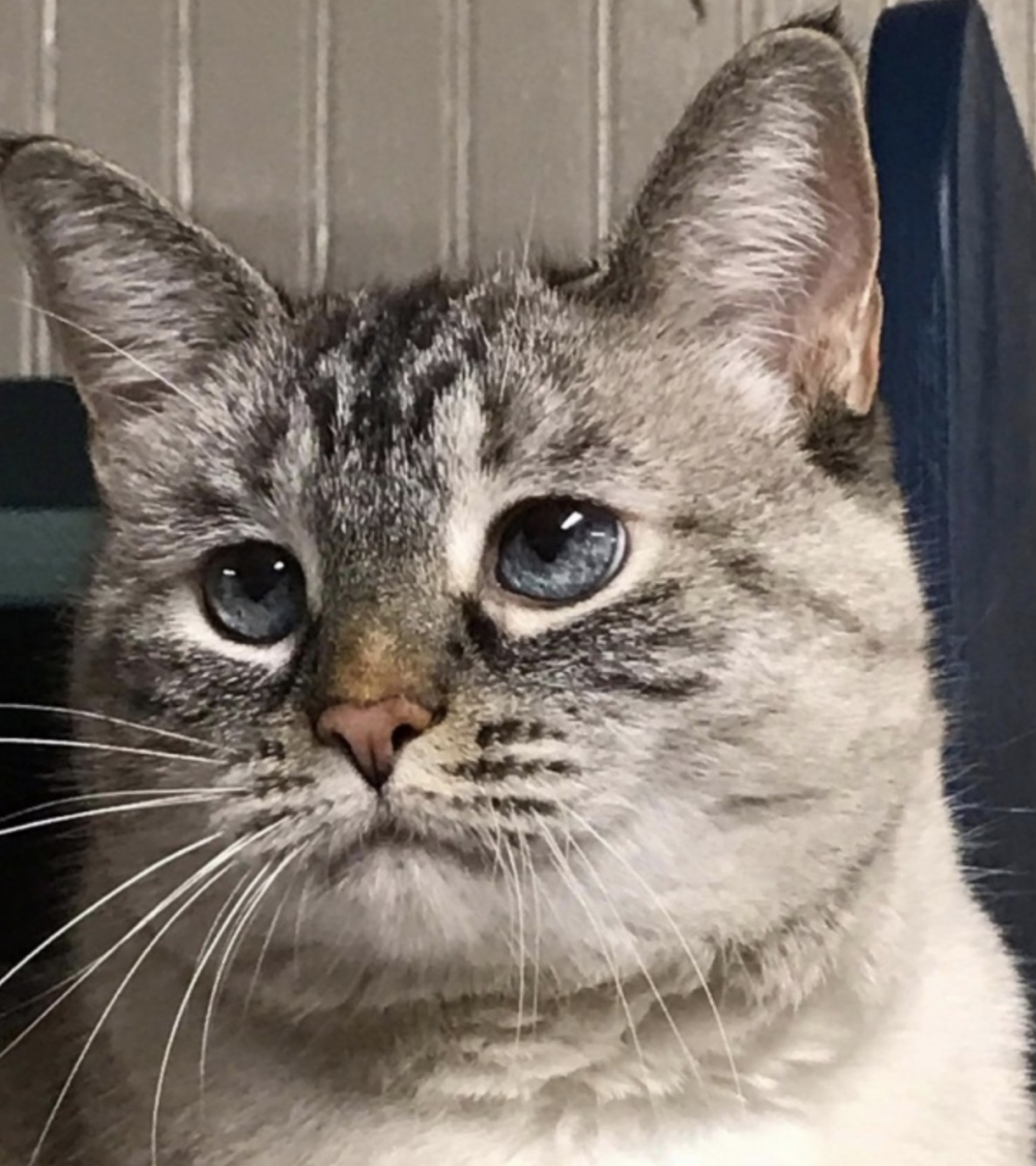 截圖 2021-08-10 上午10.48.56