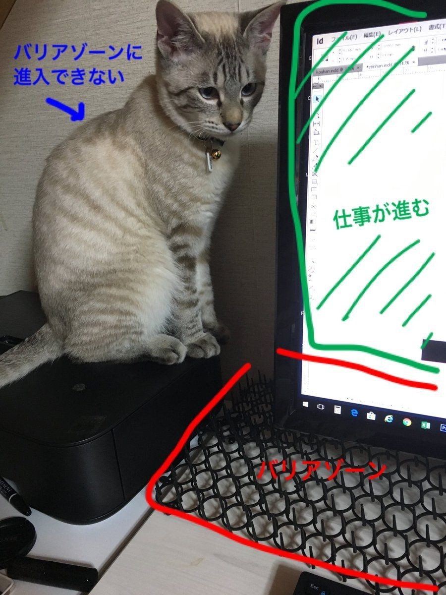 twitter uwabamichan_