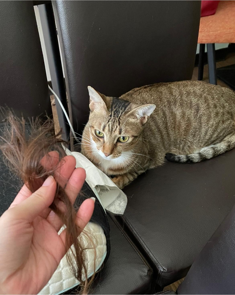 網友Pretty Ann小姐提供