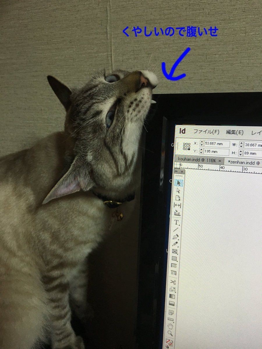 twitter uwabamichan_