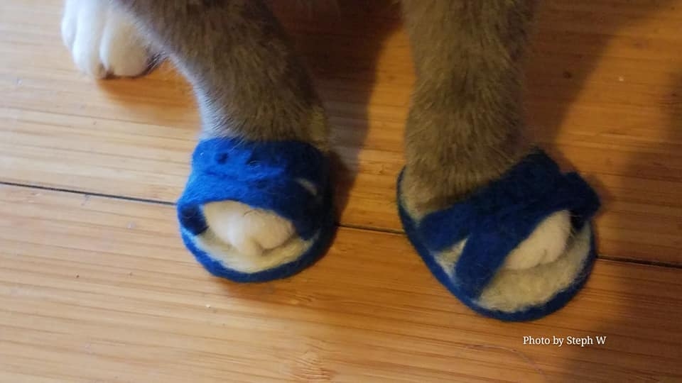 網友Stephanie Wu小姐提供