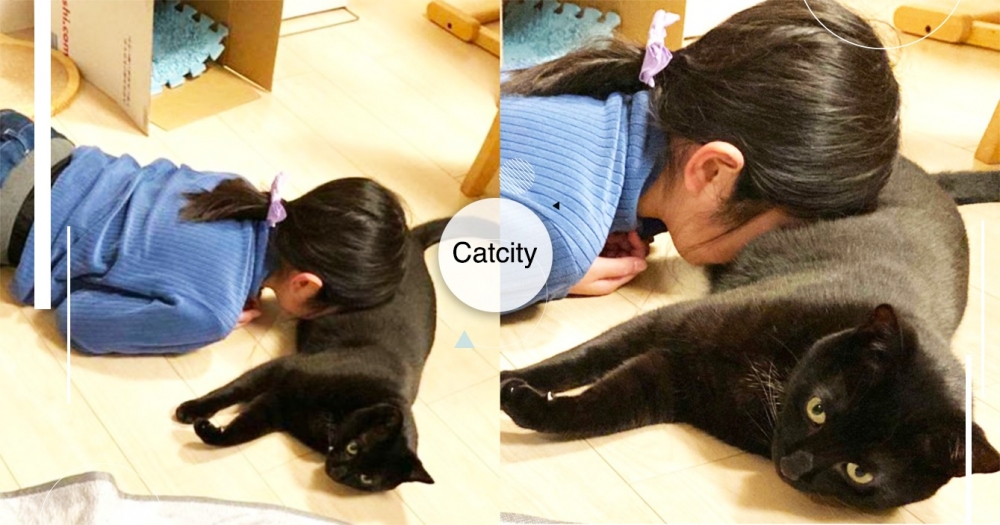 blackcat