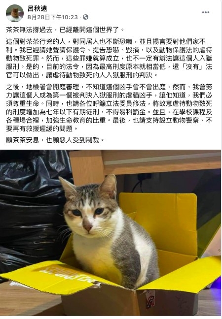 呂秋遠律師為虐貓案茶茶發聲