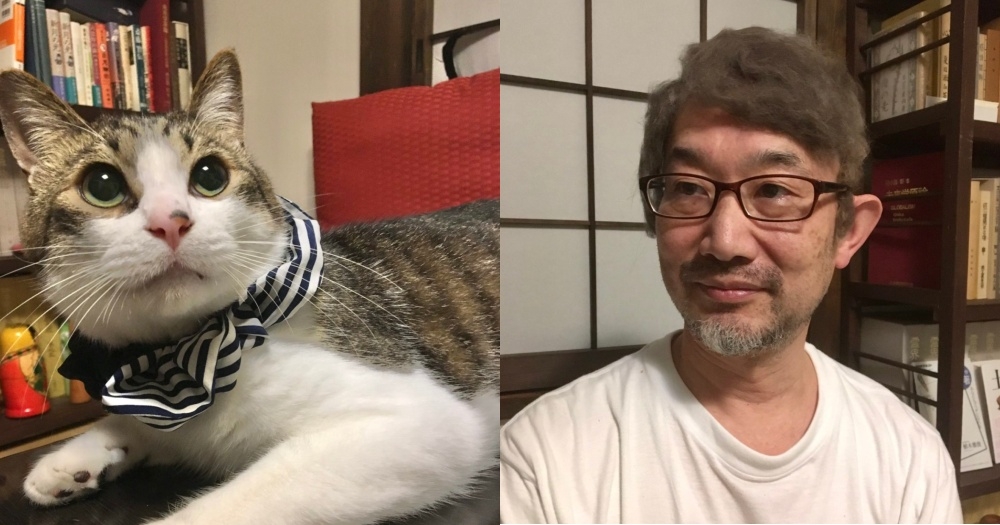 日本推特,光頭大叔把貓毛做成假髮