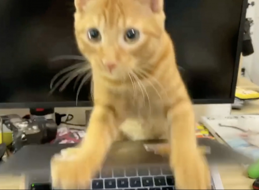 twitter @ryogomatsumaru