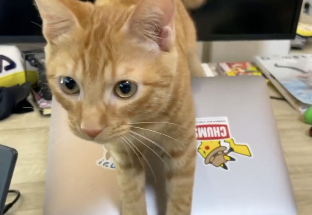 twitter @ryogomatsumaru