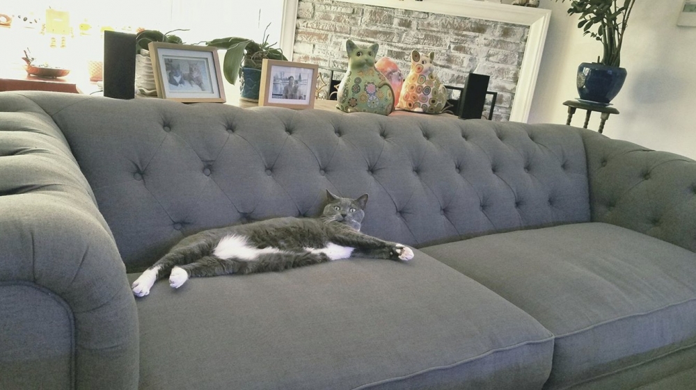 網友Stephanie Wu小姐提供