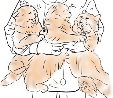 日本推特貓兄弟吵架爆紅