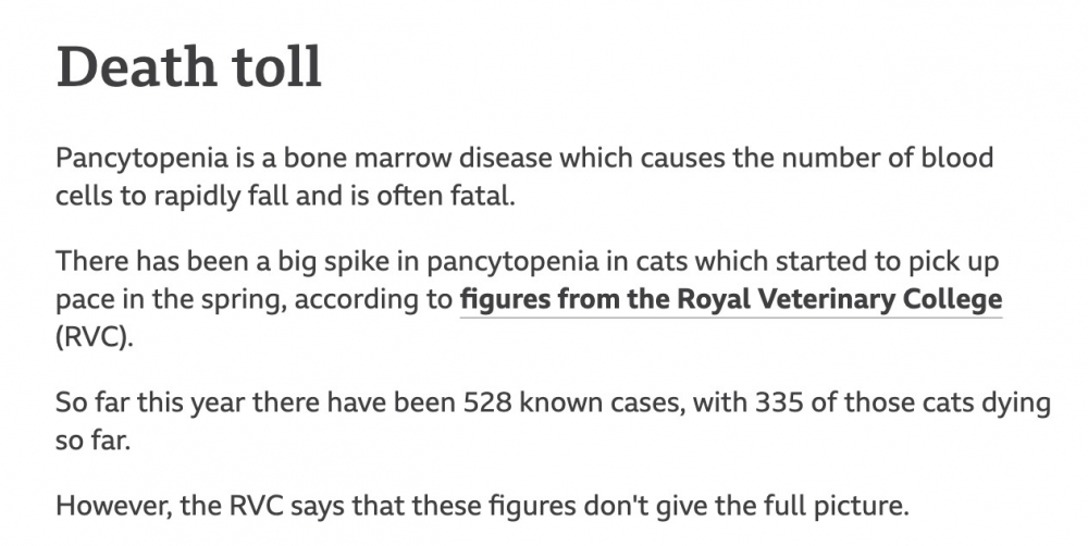 截圖 2021-08-07 下午4.55.11