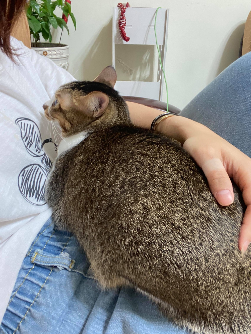 網友呂小姐提供