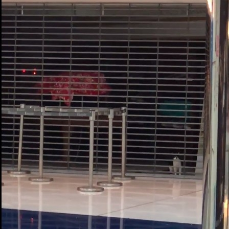 台北車站王師父店的黑白貓