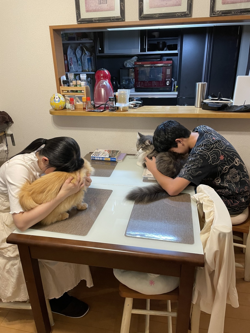日本人推薦夫妻吵架冷靜方法:吸貓