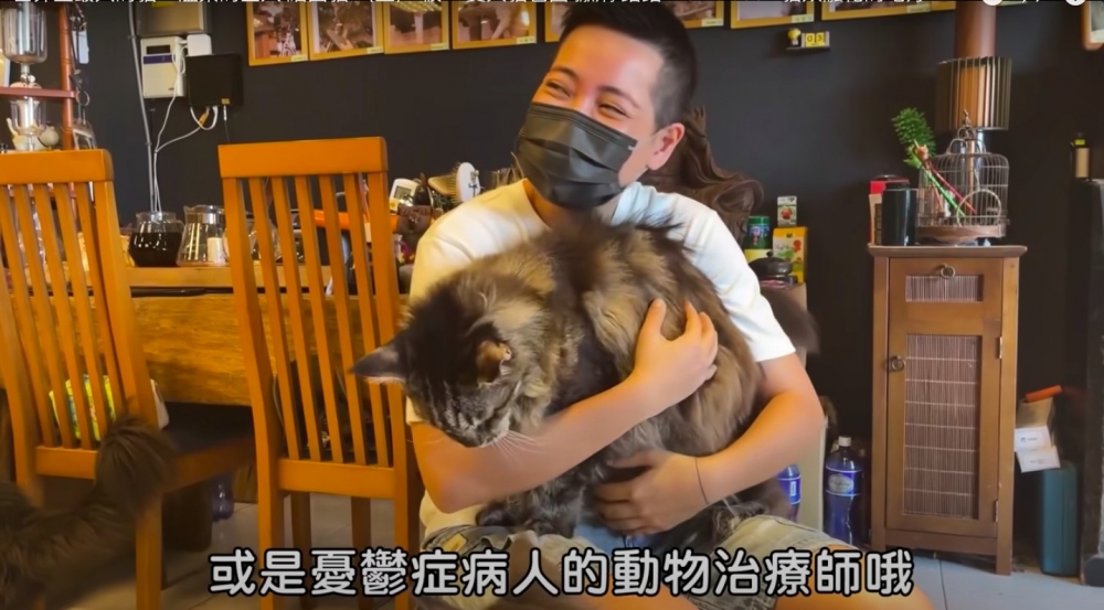 親人緬因貓非常喜歡和人互動