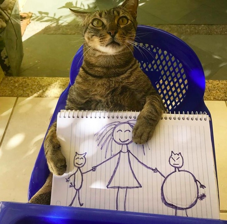 國外米克斯虎斑貓作畫成品