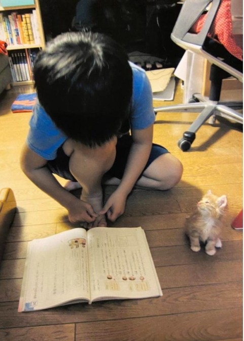 日本小男孩撿到了浪貓一起長大