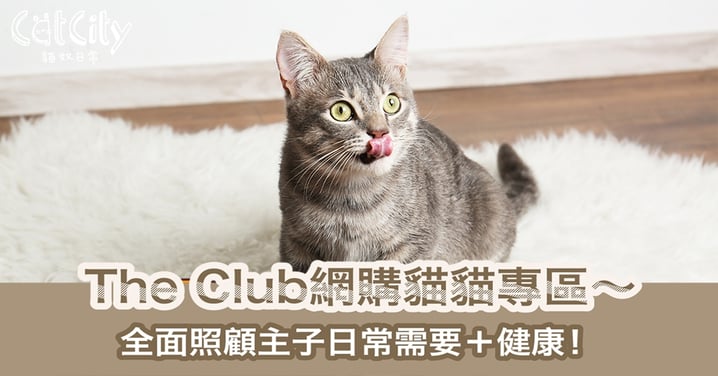 【貓奴網購好介紹！】The Club貓貓專區優惠！一站式網購主子日常所需＋照顧貓咪健康！