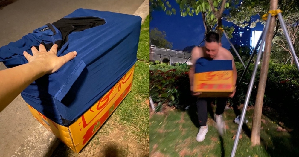 好心路人看到被遺棄的貓母子決定帶回家