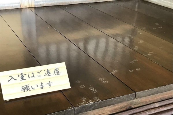 貓咪禁止進入