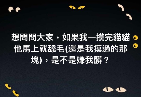貓咪也瘋狂社團,貓奴疑問:貓舔摸過的地方,是不是嫌我髒