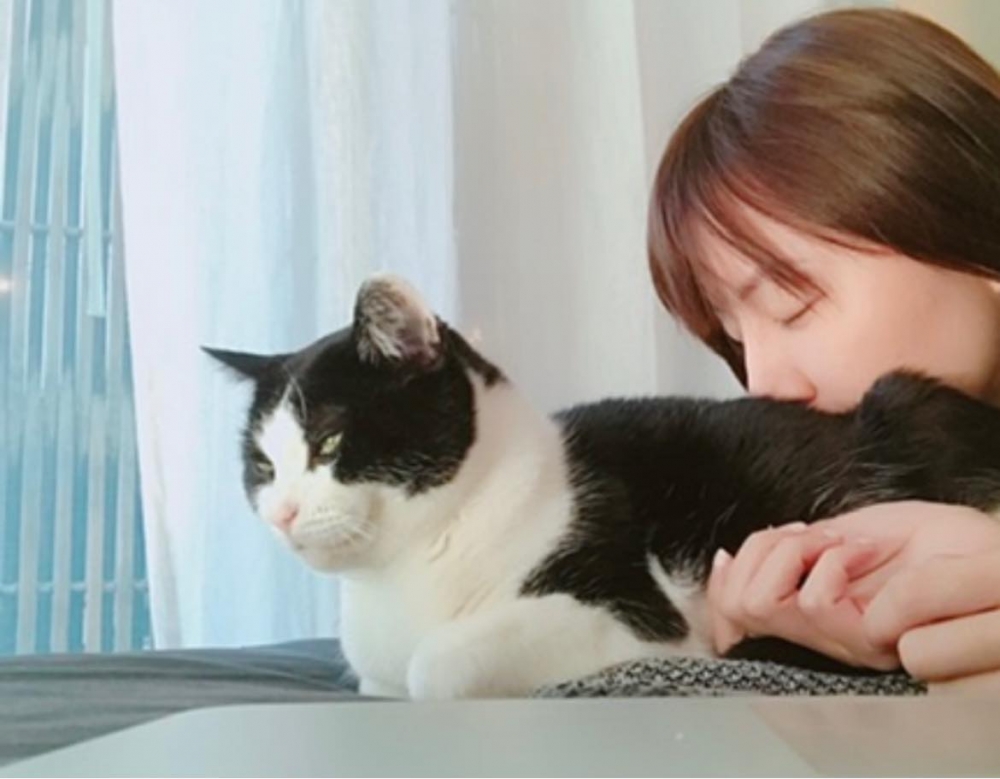最近跟貓貓感情越來越好