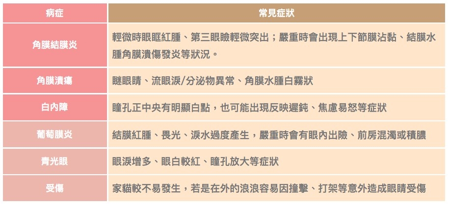 貓咪眼睛常見病症