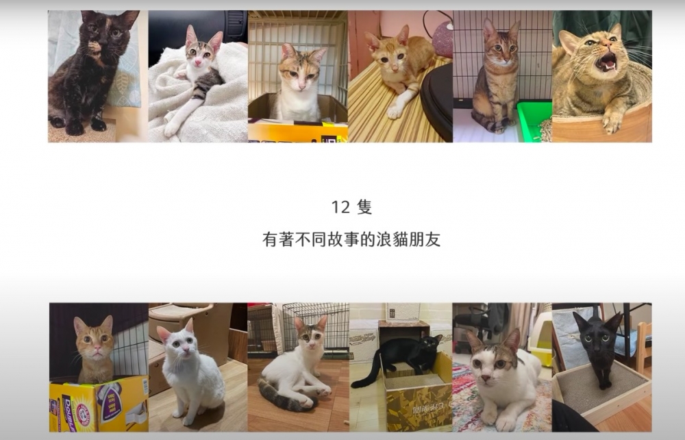 螢幕快照 2021-10-04 上午10.26.26