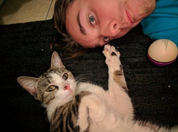 男子從此愛上這隻可愛的貓咪，直接收編