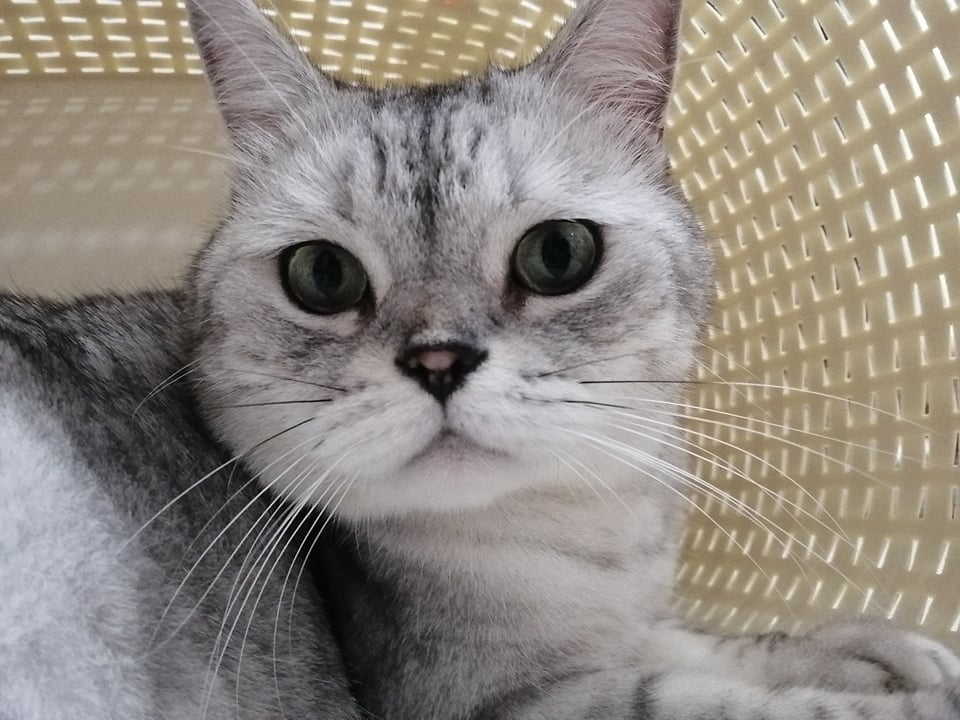 網友vivi wu小姐提供