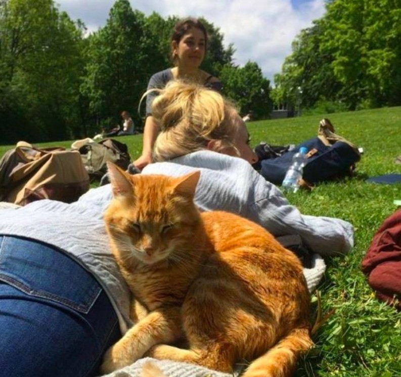 FB @CampusCat Augsburg