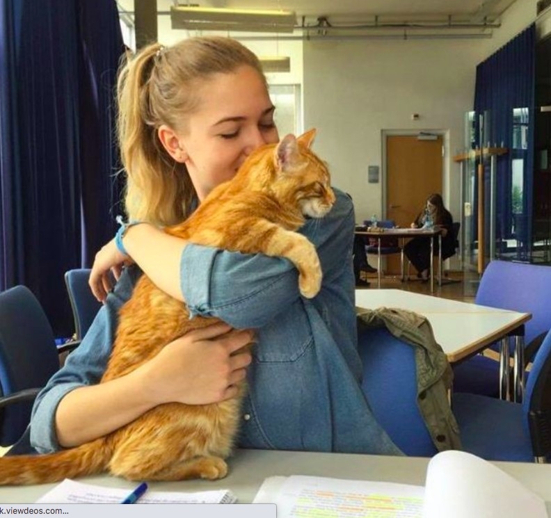 FB @CampusCat Augsburg