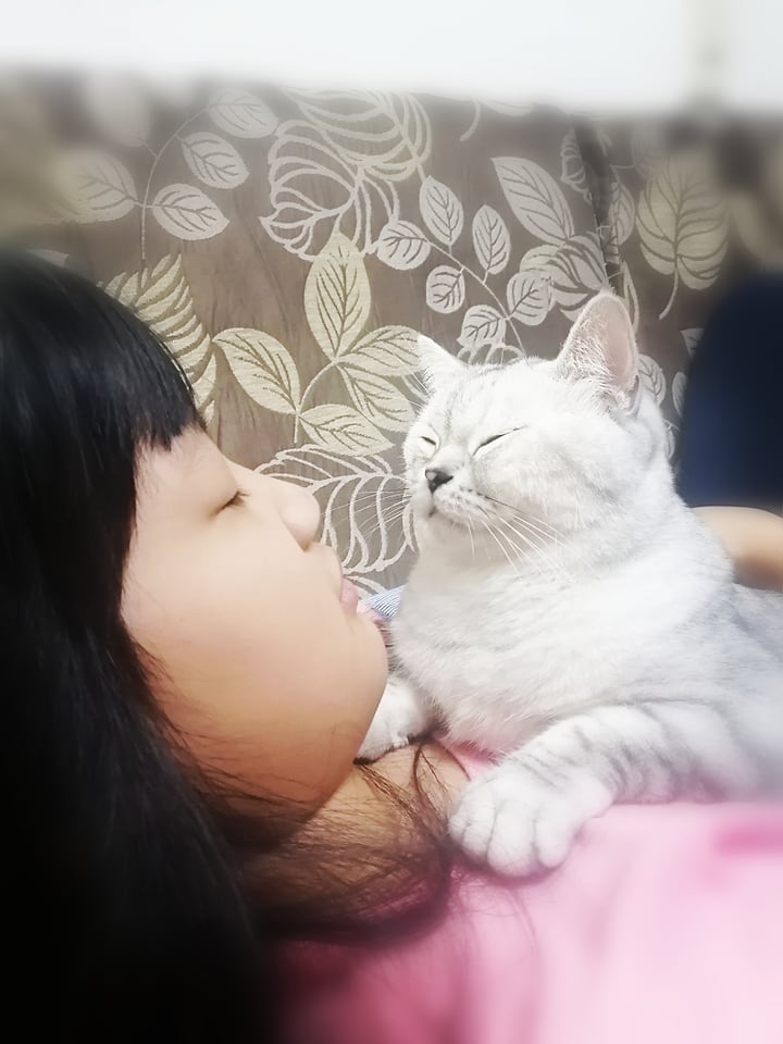 網友vivi wu小姐提供