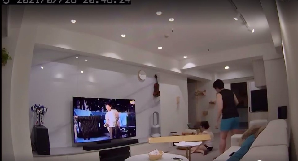 飼主分享監視器，看到自己被撞的過程