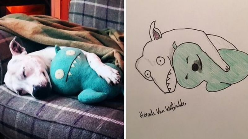 網友分享家中寵物,跪求飼主仿畫