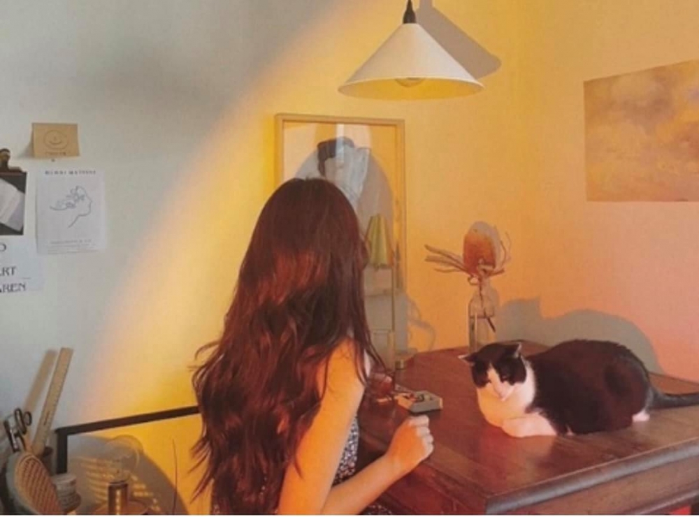 貓貓願意靠近飼主