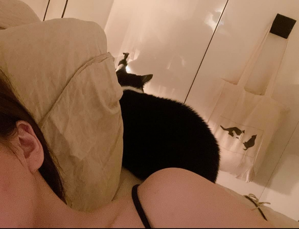 賓士貓第1次靠在身邊，讓飼主超感動