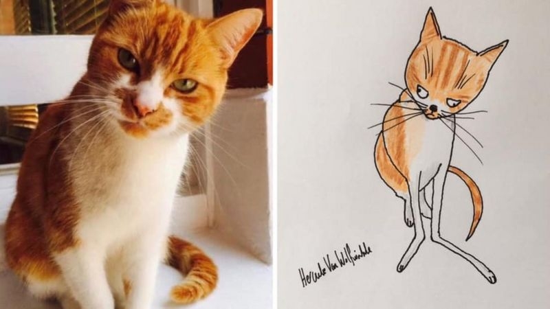 超好笑的搞笑畫作,受到網友們的歡迎