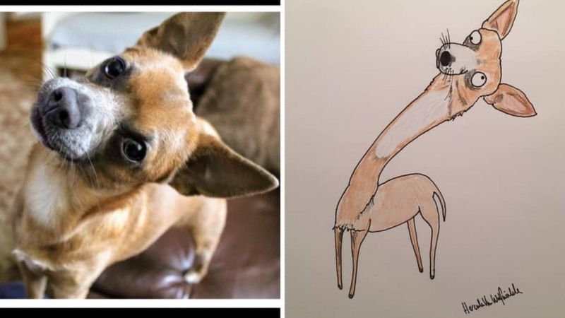 老爸幫網友仿畫的狗狗