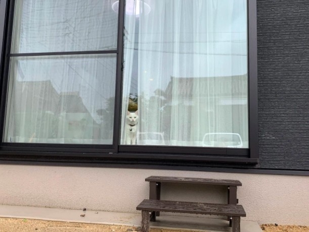 twitter @hakusama0906