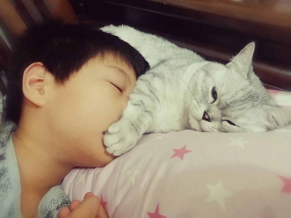 網友vivi wu小姐提供