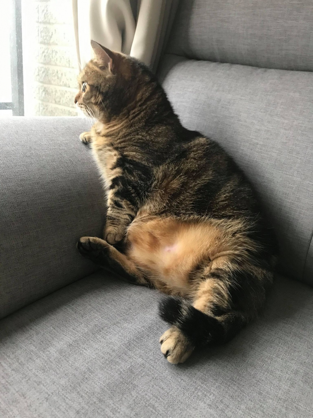 網友molly chen小姐提供