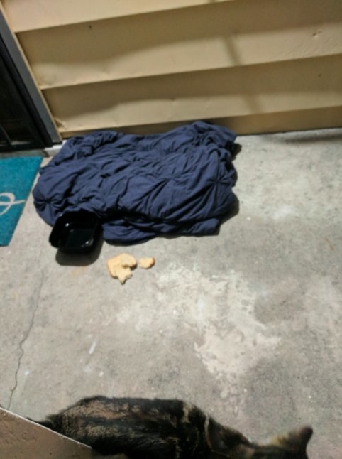 隔天男子出門時，特地在門外留了棉被和食物給小貓