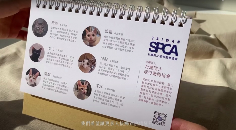 計畫的募資品項為插畫公益桌曆、紙膠帶與手帳,透過繪製12隻來自不同動保單位的等待認養貓貓插圖來製作本計畫的公益品