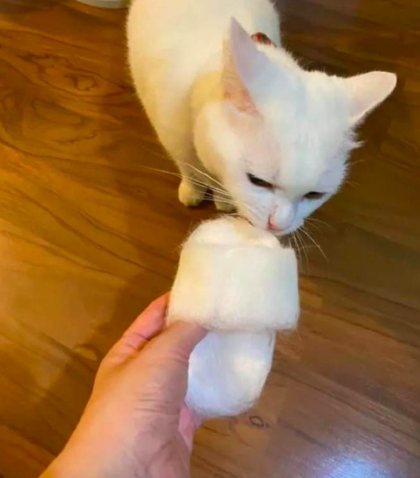 螢幕快照 2021-10-14 上午10.19.38