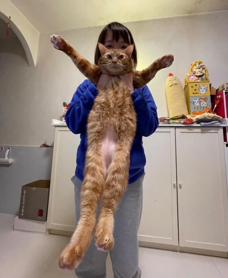 IG @fat_billbill