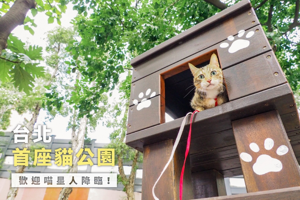 台北市首座貓咪公園正式啟用