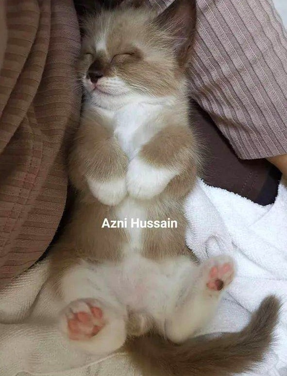 FB Azni Hussian