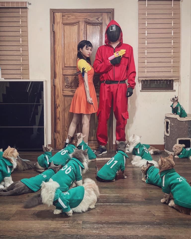 貓版魷魚遊戲!20隻貓貓準備參加逗貓關卡
